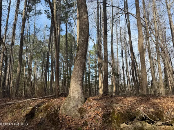 $742,000 | 269 Creek Road, Bath, NC 27808