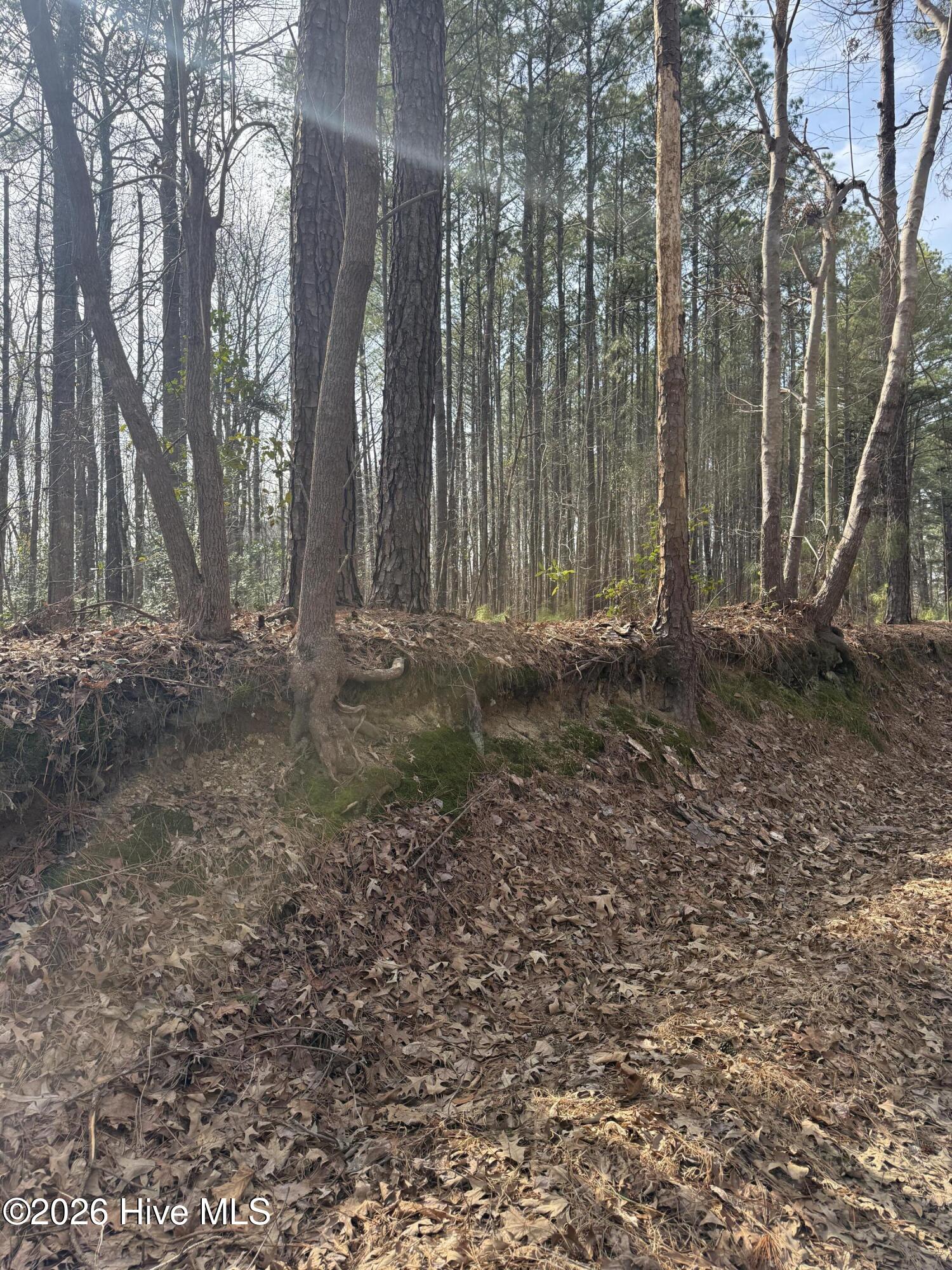 269 Creek Road Bath, NC 27808 - Photo 6 of 22 IMG_2644