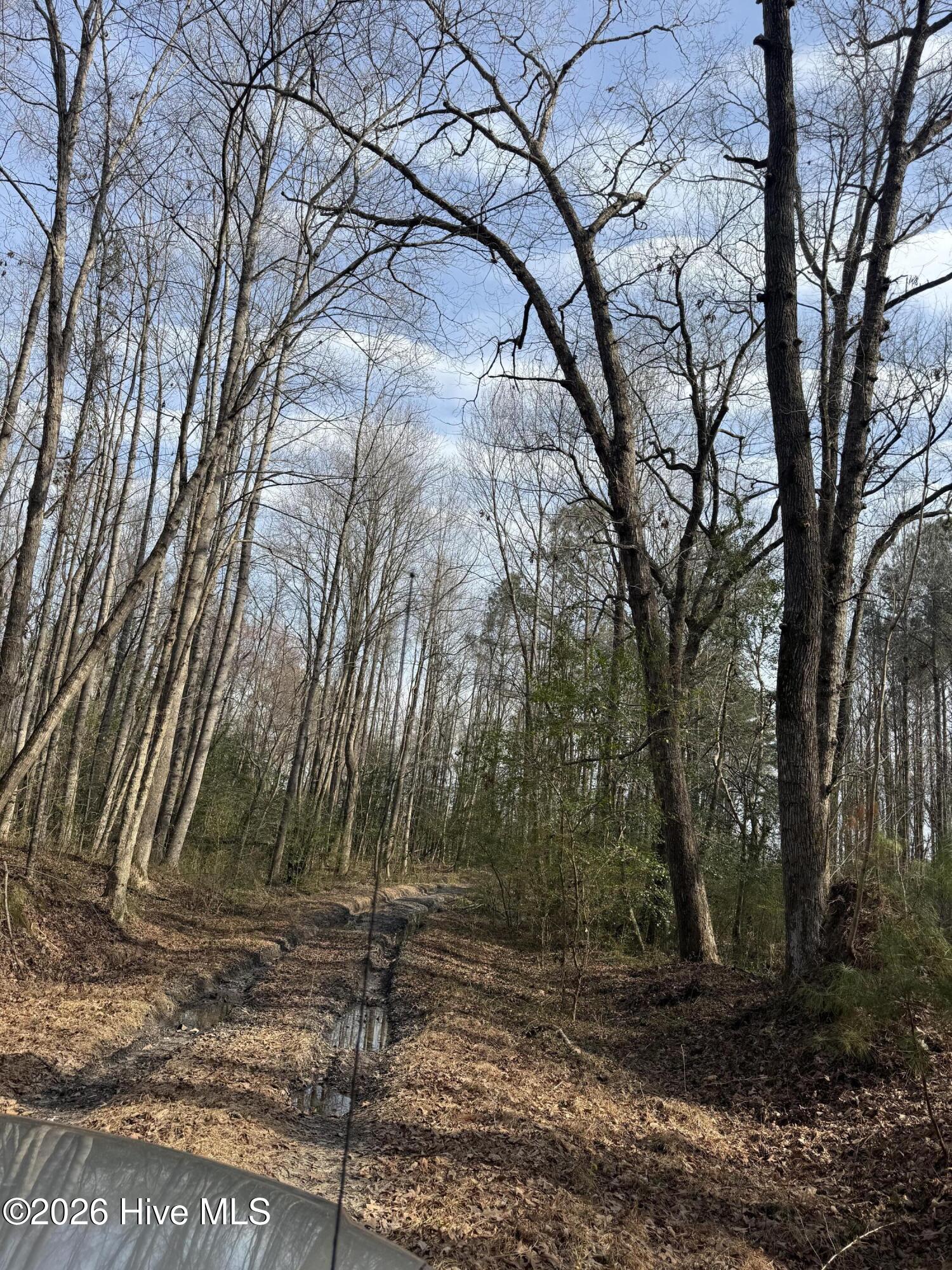 269 Creek Road Bath, NC 27808 - Photo 7 of 22 IMG_2643