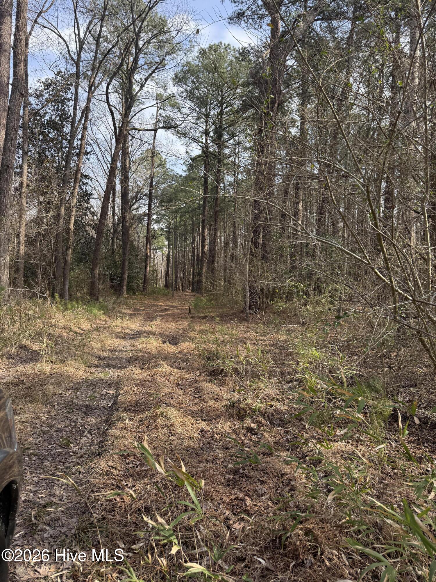 269 Creek Road Bath, NC 27808 - Photo 9 of 22 IMG_2640