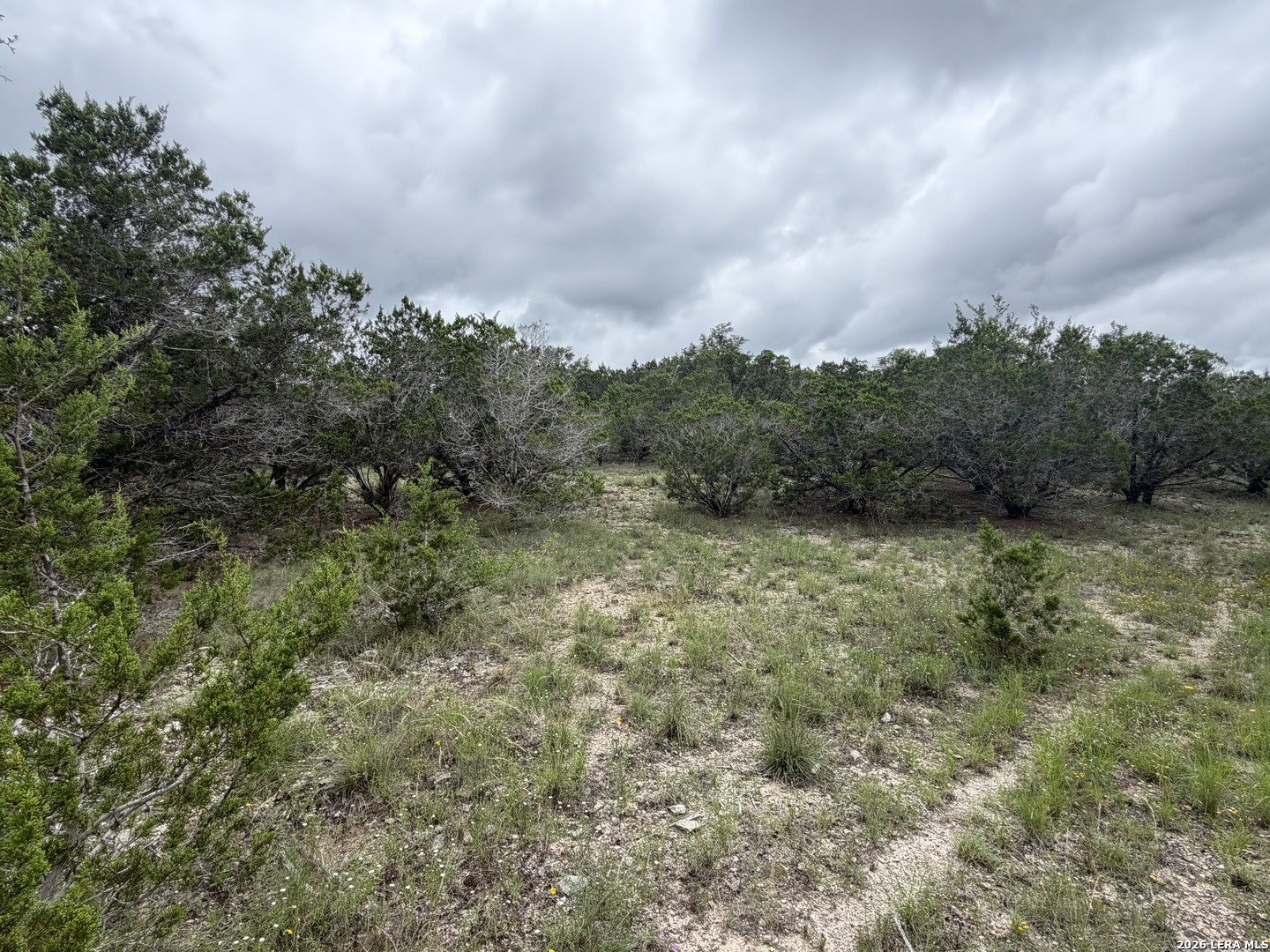 Lot 36 Cliff Drive Spring Branch, TX 78070 - Photo 3 of 5