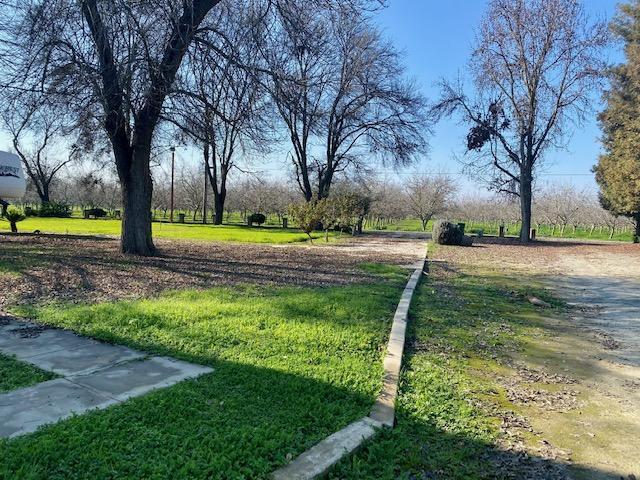 1398 North Elberta Road Exeter, CA 93221 - Photo 61 of 63 Elberta 25