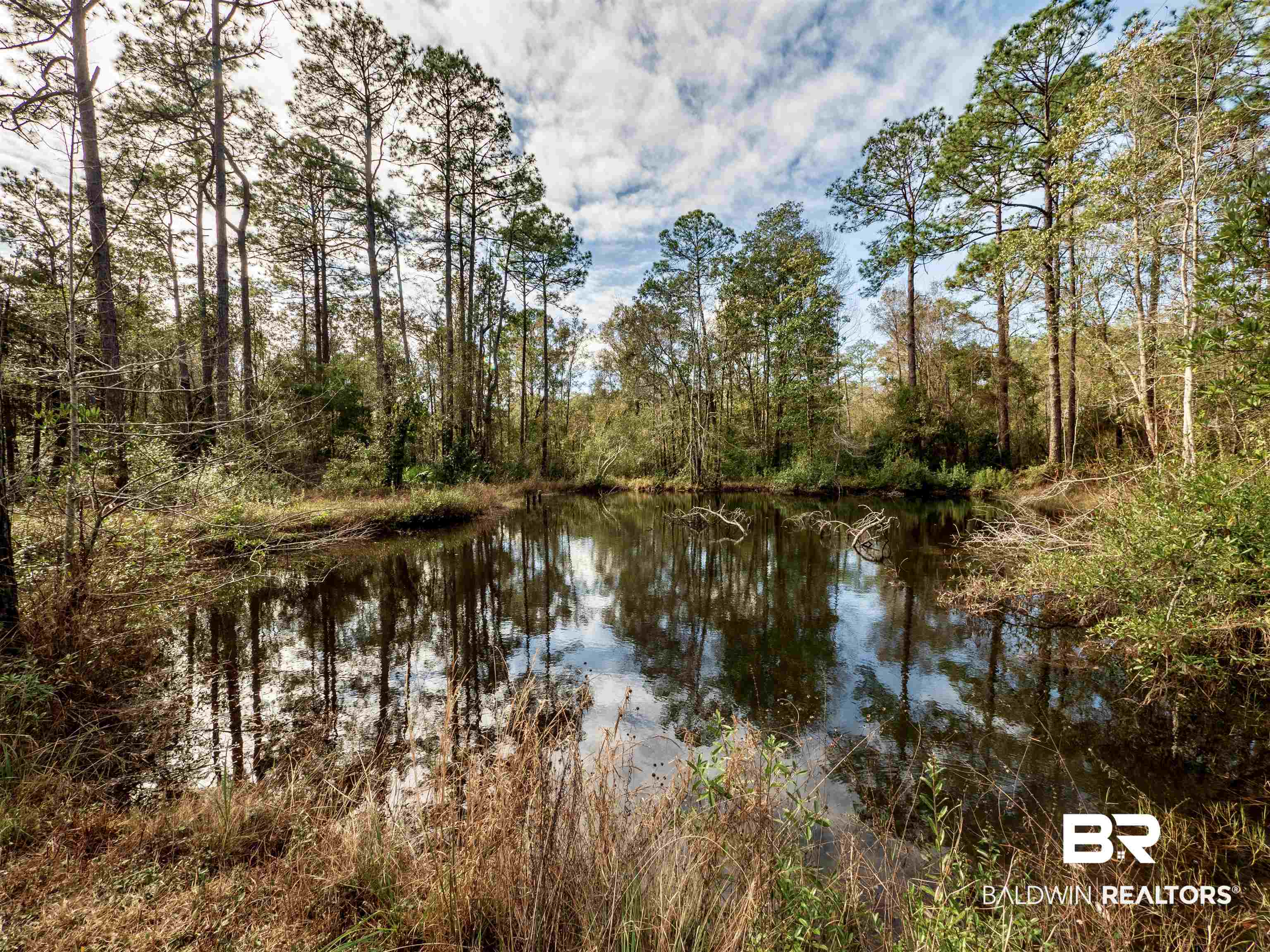 17338 River Road Summerdale, AL 36580 - Photo 20 of 31