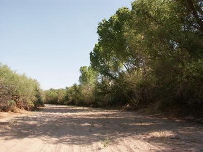 0 North River Road St. David, AZ 85630 - Photo 3 of 7 Gallery Image 3