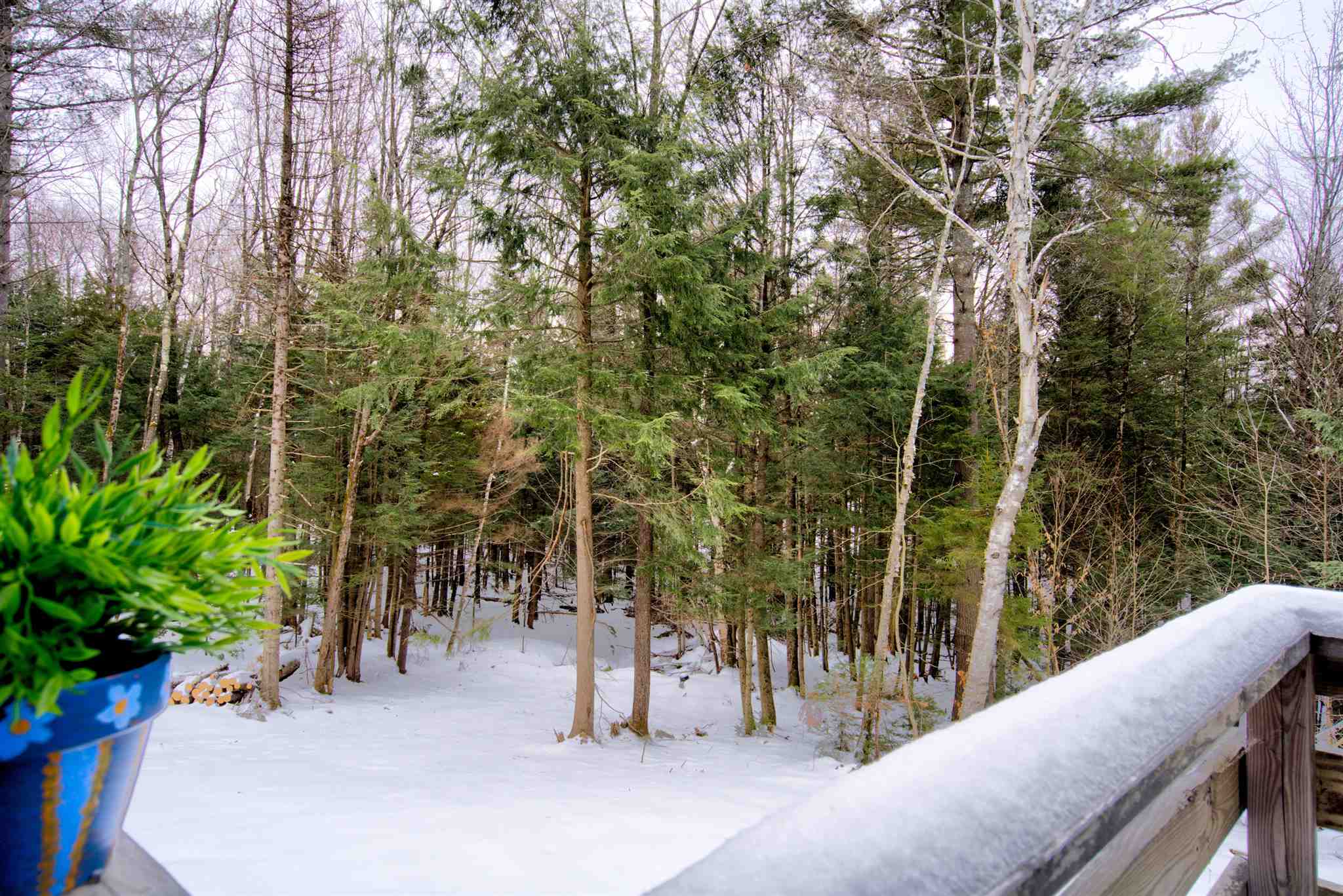 13 Aspen Lane Winhall, VT 05340 - Photo 36 of 38 Gallery Image 36