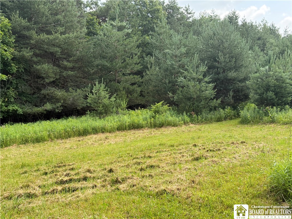 2751 Canfield Road Cohocton, NY 14826 - Photo 13 of 50