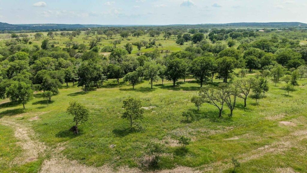 47-acres White Oak Road Fredericksburg, TX 78624 - Photo 24 of 37 a view of a green field with lots of trees
