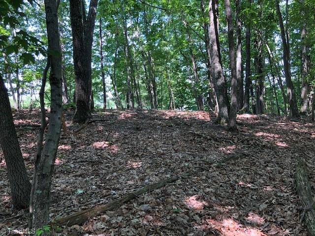 0 Jacob Ridge Road Pinnacle, NC 27043 - Photo 21 of 25