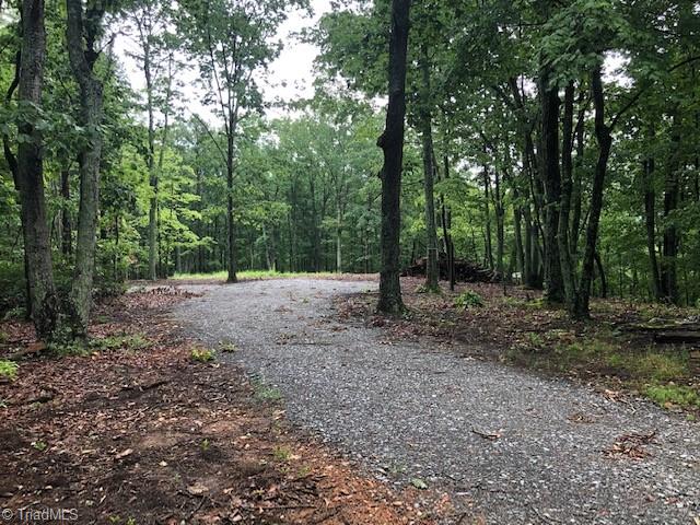 0 Jacob Ridge Road Pinnacle, NC 27043 - Photo 3 of 25