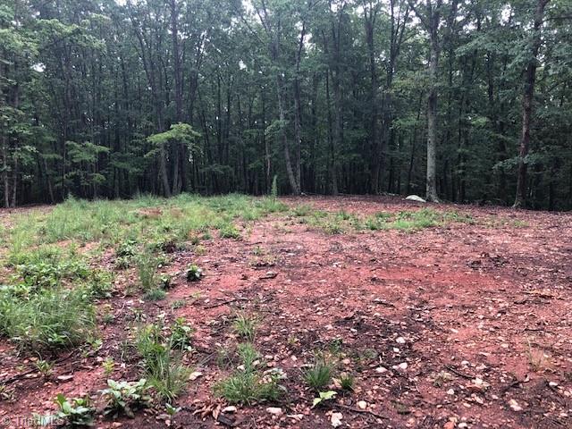 0 Jacob Ridge Road Pinnacle, NC 27043 - Photo 7 of 25