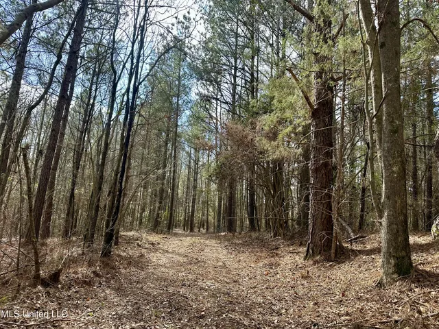 $109,500 | 242 Dan George Road, Mendenhall, MS 39114