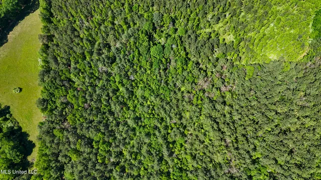 $109,500 | 242 Dan George Road, Mendenhall, MS 39114