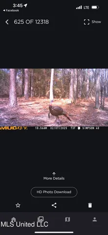 $109,500 | 242 Dan George Road, Mendenhall, MS 39114