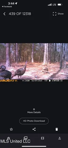 $109,500 | 242 Dan George Road, Mendenhall, MS 39114