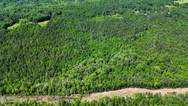 $109,500 | 242 Dan George Road, Mendenhall, MS 39114