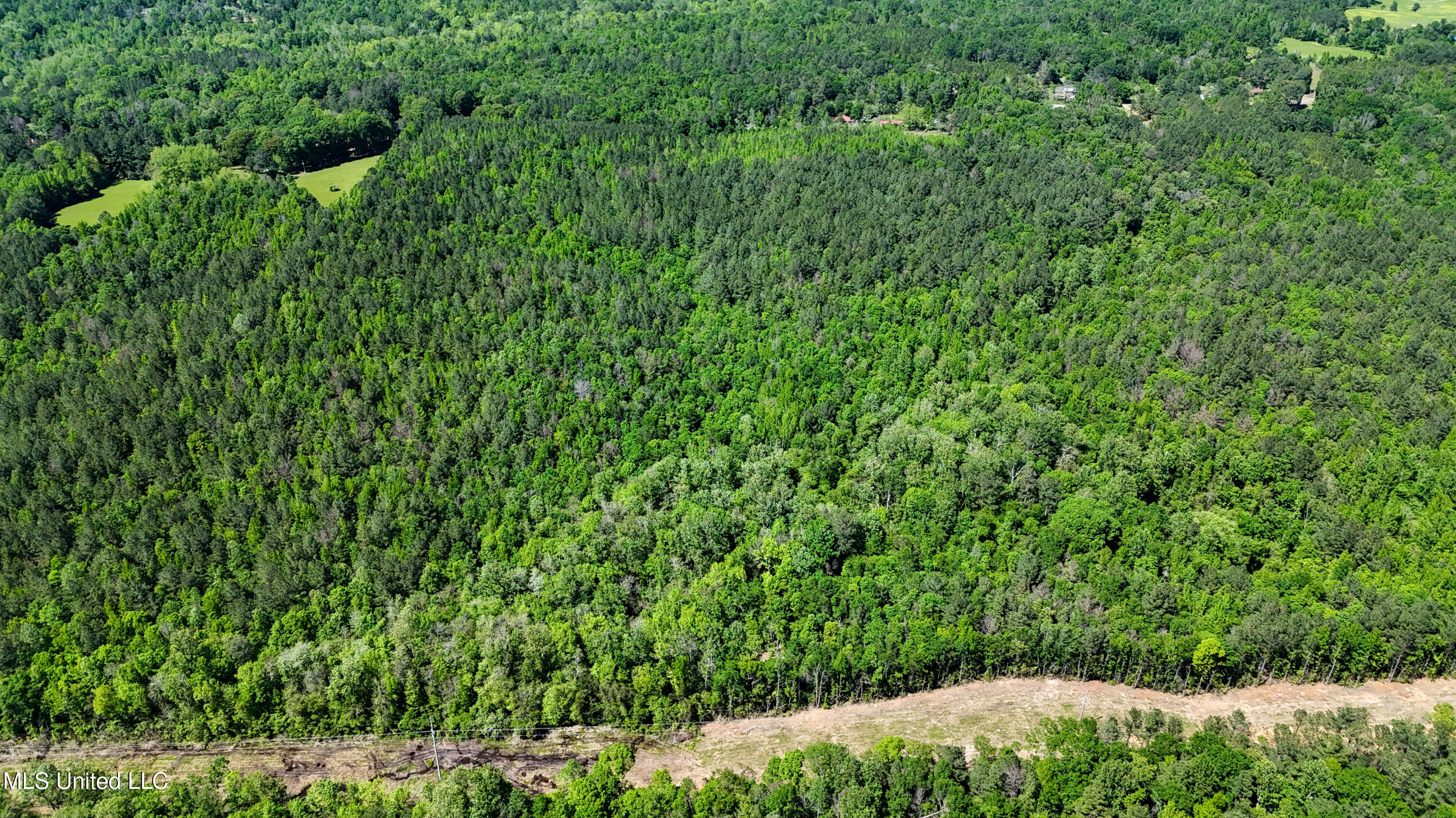 242 Dan George Road Mendenhall, MS 39114 - Photo 17 of 23 dji_fly_20240404_080804_0271_17163086910