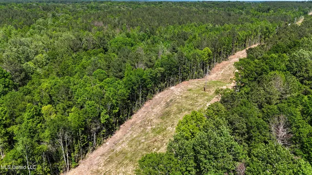 $109,500 | 242 Dan George Road, Mendenhall, MS 39114