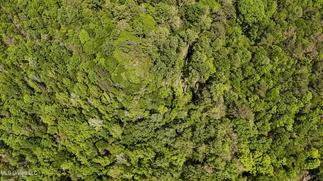 $109,500 | 242 Dan George Road, Mendenhall, MS 39114