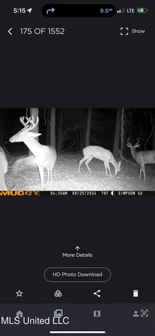 $109,500 | 242 Dan George Road, Mendenhall, MS 39114