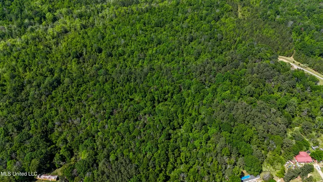 $109,500 | 242 Dan George Road, Mendenhall, MS 39114