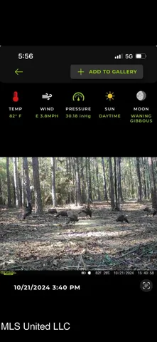 $109,500 | 242 Dan George Road, Mendenhall, MS 39114