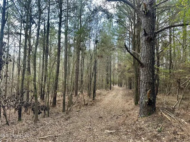 $109,500 | 242 Dan George Road, Mendenhall, MS 39114