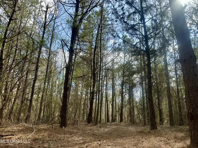 $109,500 | 242 Dan George Road, Mendenhall, MS 39114