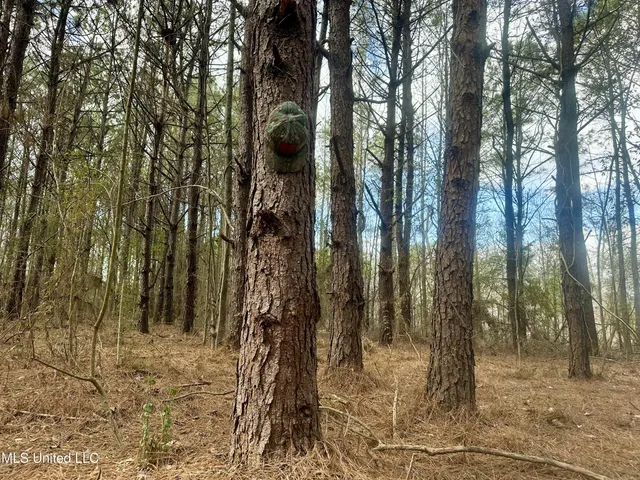 $109,500 | 242 Dan George Road, Mendenhall, MS 39114