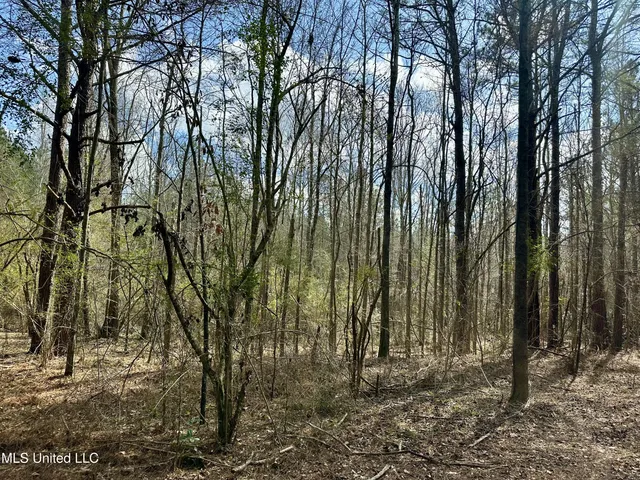 $109,500 | 242 Dan George Road, Mendenhall, MS 39114