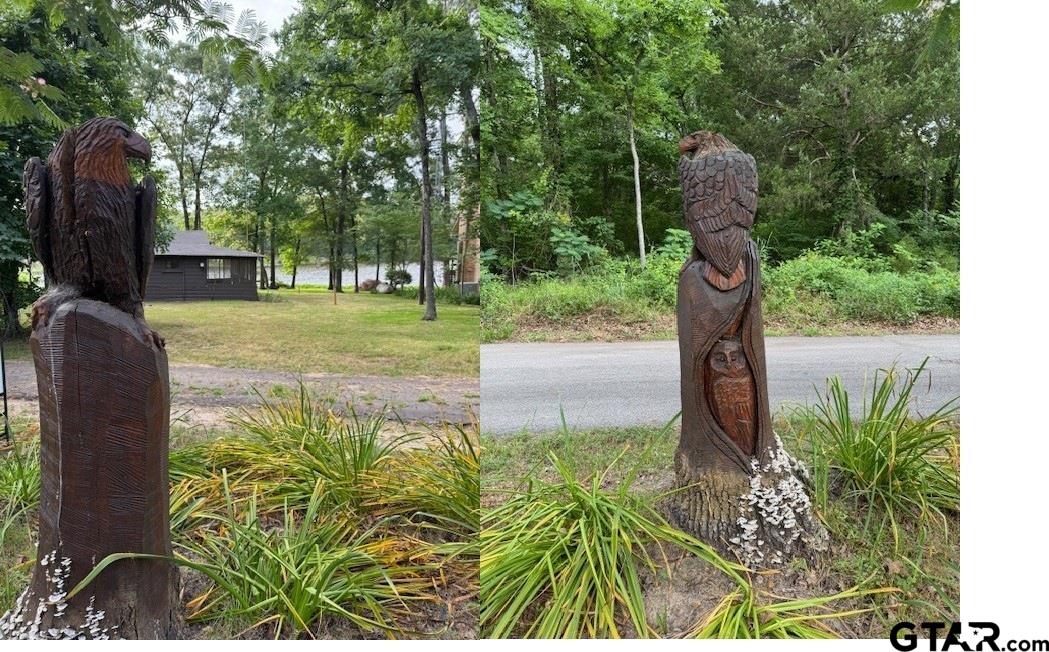 150 County Road 1699 Alba, TX 75410 - Photo 2 of 20