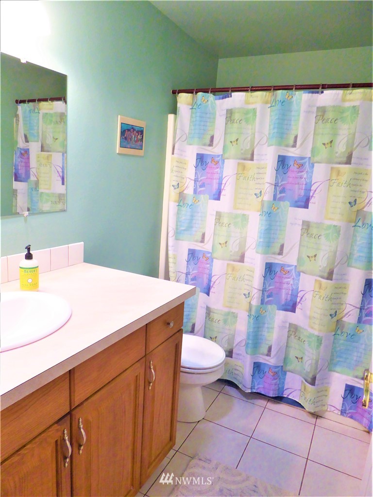 8209 177th Lane Southwest Rochester, WA 98579 - Photo 18 of 39 a bathroom with a sink a toilet and shower curtain