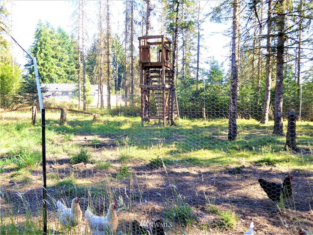 8209 177th Lane Southwest Rochester, WA 98579 - Photo 35 of 39 a view of a park with large trees