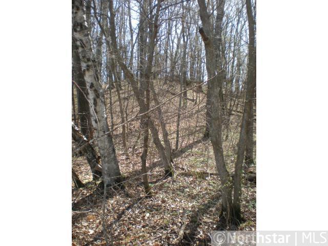 Lot 3-blk 244th Road Shafer, MN 55074 - Photo 1 of 1 Gallery Image 1