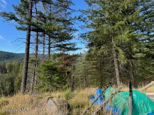 $190,000 | 1 Dole Camp Road, Desmet, ID 83824