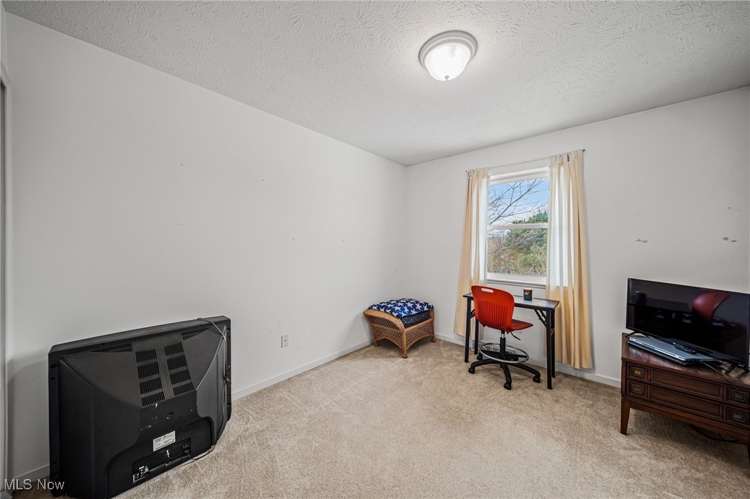 5955 South Ridge Road Madison, OH 44057 - Photo 30 of 42