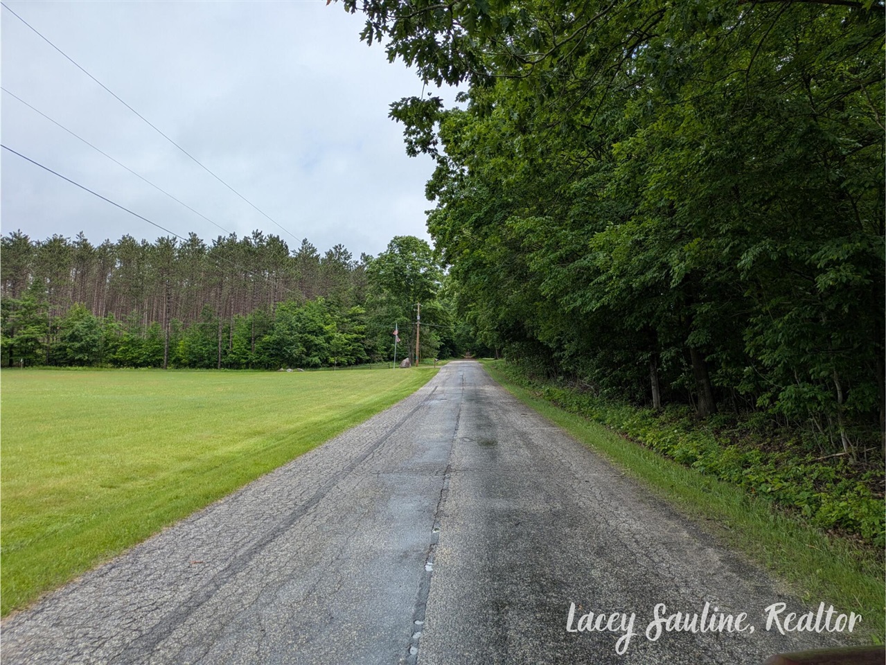 0 West Finkle Road Cadillac, MI 49601 - Photo 16 of 21