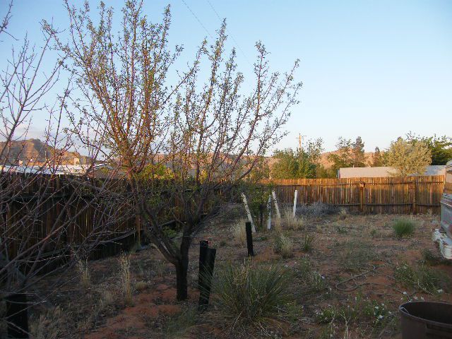205 East N Old Church Road Kanab, UT 84741 - Photo 1 of 1 205 E Old Church Trees Started on Lot