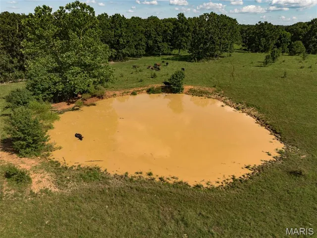 $330,000 | 19501 State Rte M, Edgar Springs, MO 65462