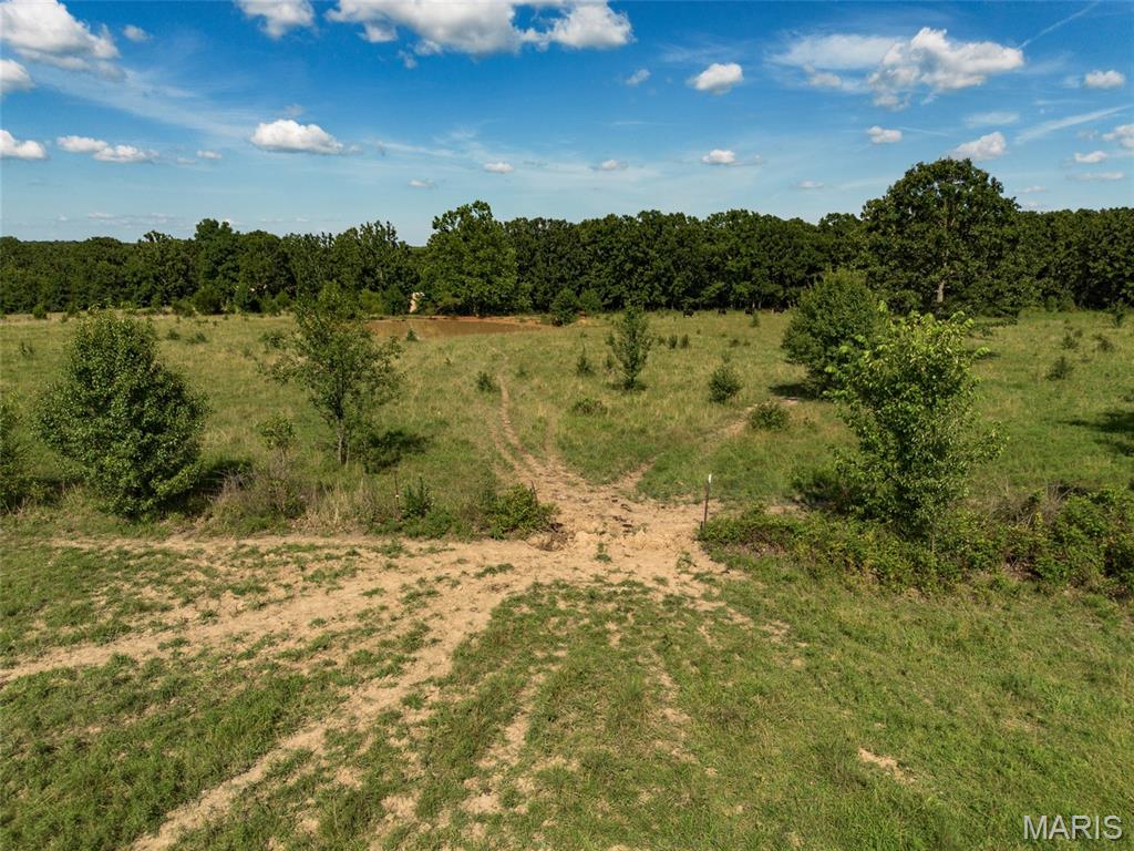 19501 State Rte M Edgar Springs, MO 65462 - Photo 81 of 91