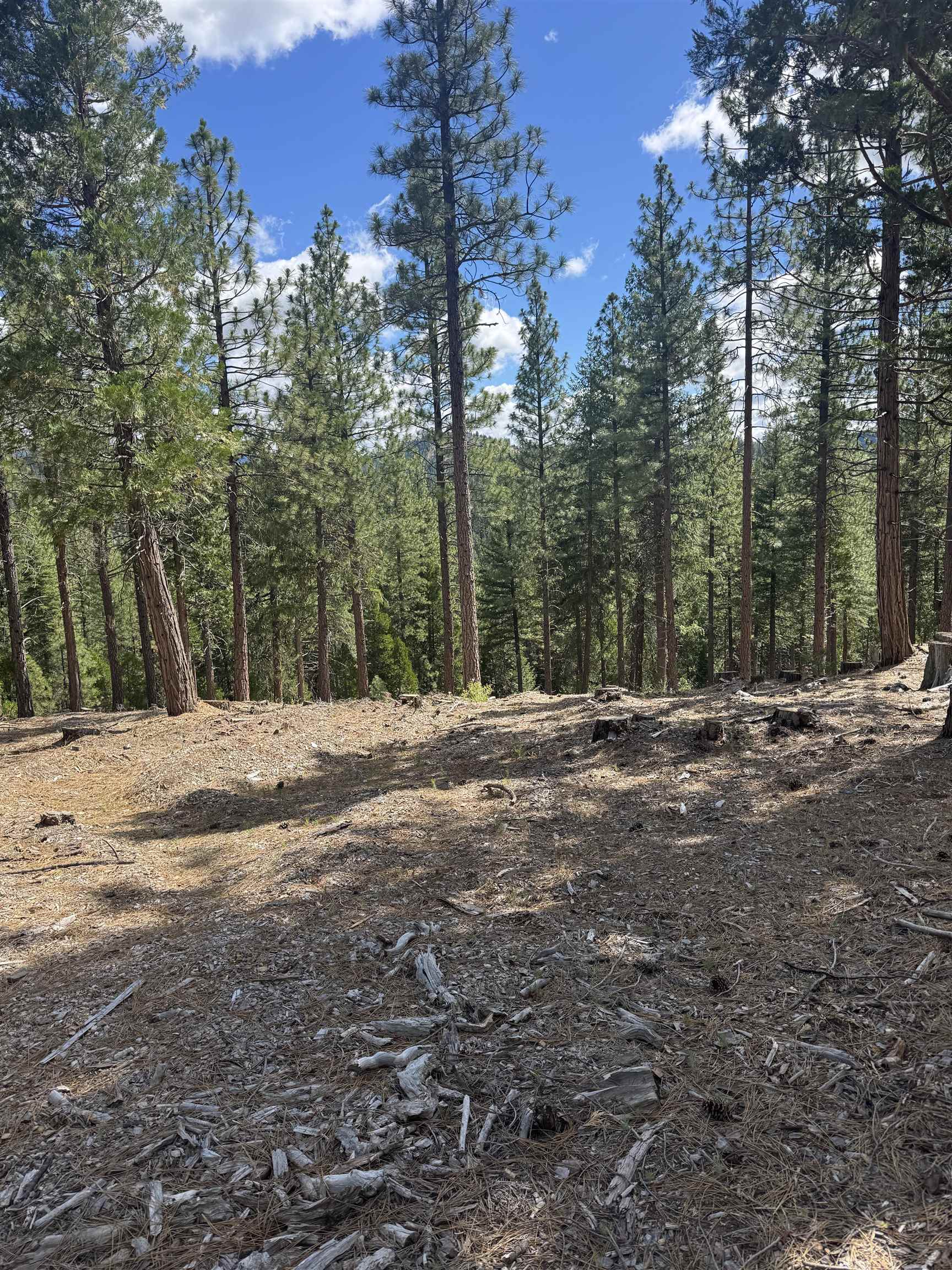 2245 Xanadu Road Clio, CA 96106 - Photo 24 of 43
