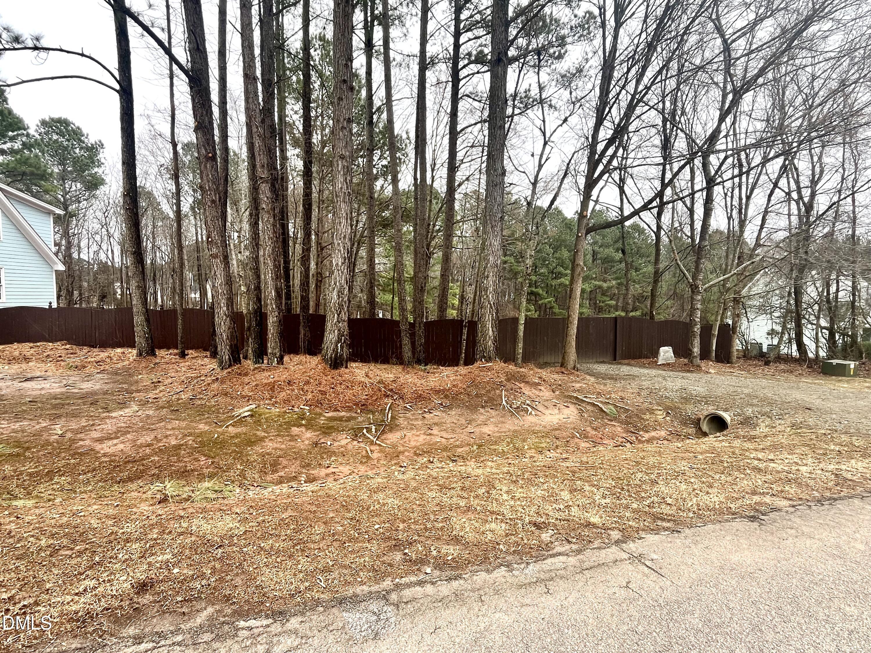 9016 New Century Road Wake Forest, NC 27587 - Photo 40 of 43 Spacious Yard