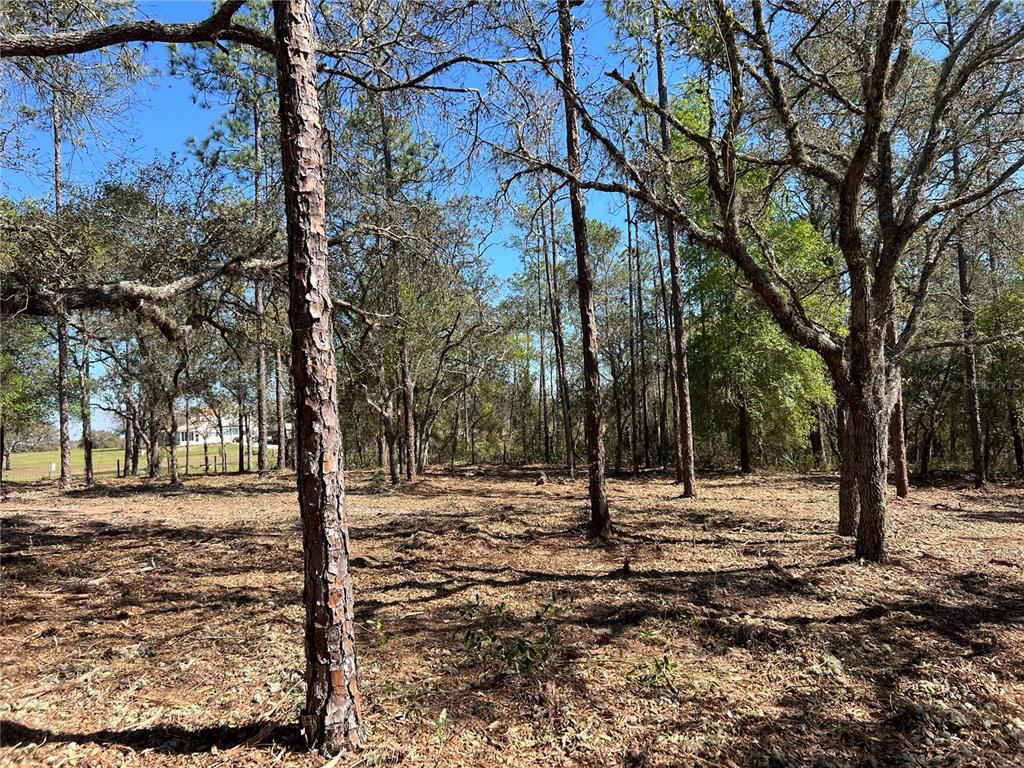 25 Southwest Timberlake Road Dunnellon, FL 34431 - Photo 11 of 27