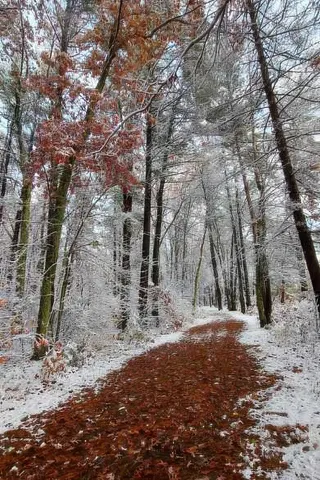 $385,000 | 9 Bartemus Trail, Unit 303, Nashua, NH 03063