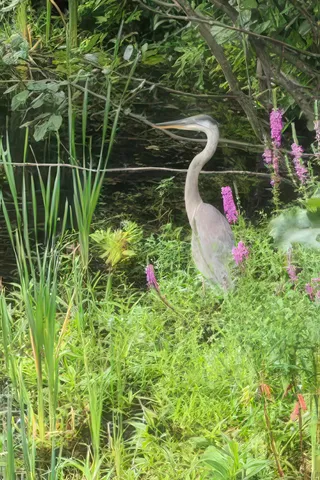 $385,000 | 9 Bartemus Trail, Unit 303, Nashua, NH 03063