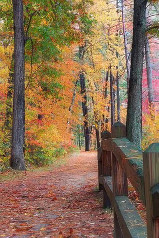 $385,000 | 9 Bartemus Trail, Unit 303, Nashua, NH 03063