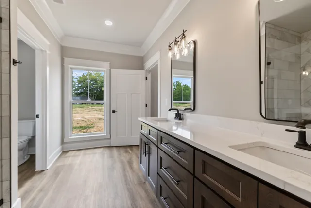 a bathroom with a granite countertop sink vanity granite and a large mirror