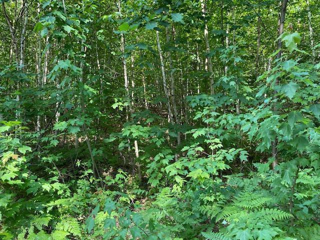 0 Hodgdon Road Scarborough, ME 04074 - Photo 7 of 8 IMG_1038