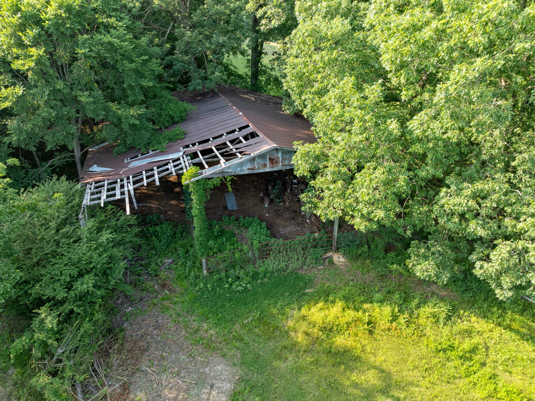 5595 Denmark Road Erin, TN 37061 - Photo 43 of 54