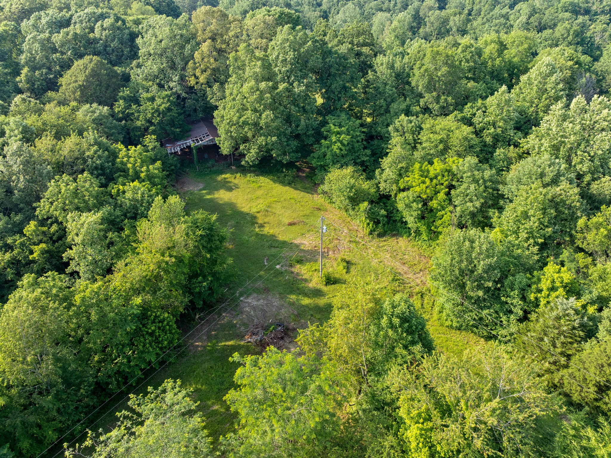 5595 Denmark Road Erin, TN 37061 - Photo 45 of 54