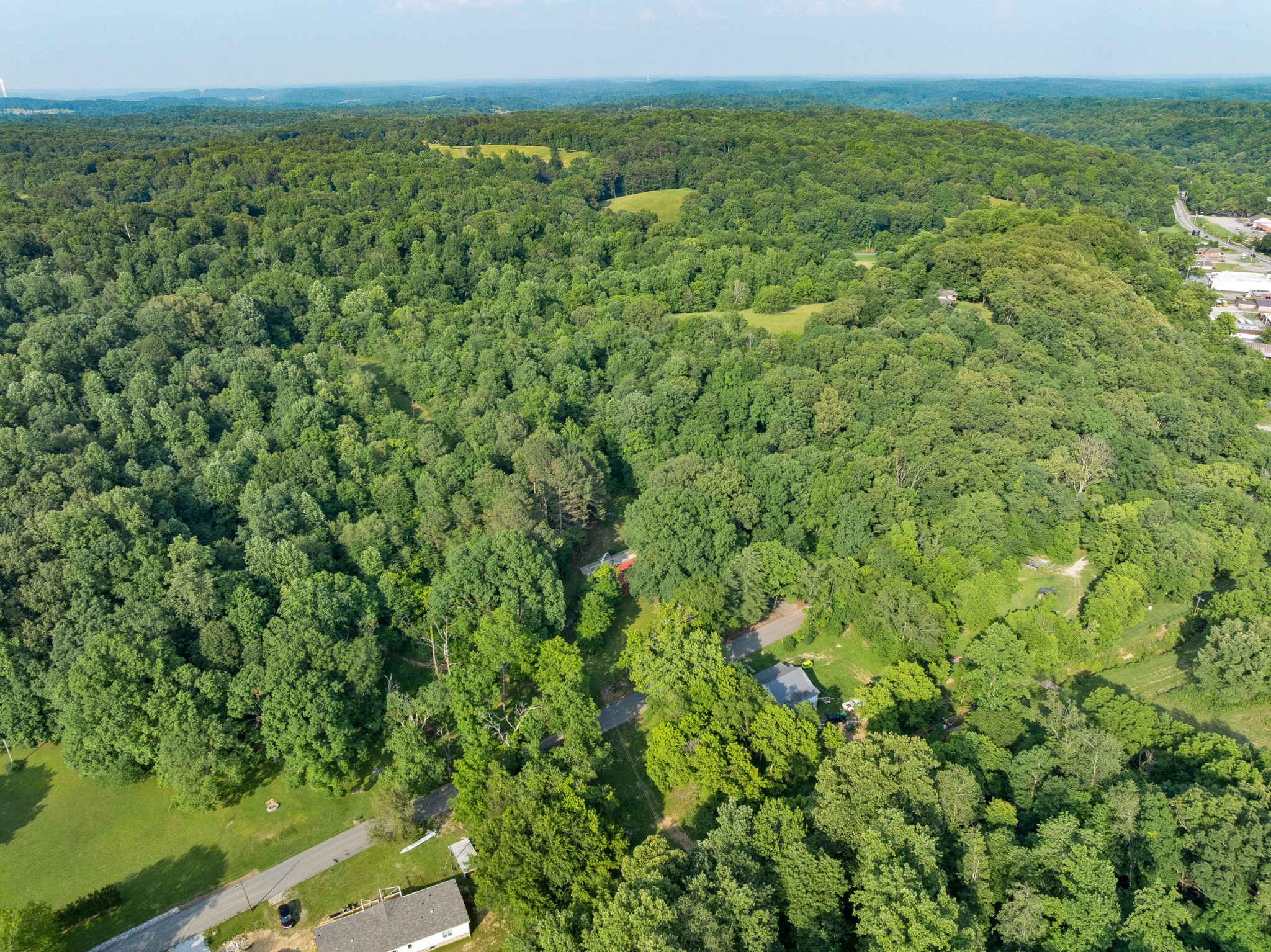 5595 Denmark Road Erin, TN 37061 - Photo 46 of 54